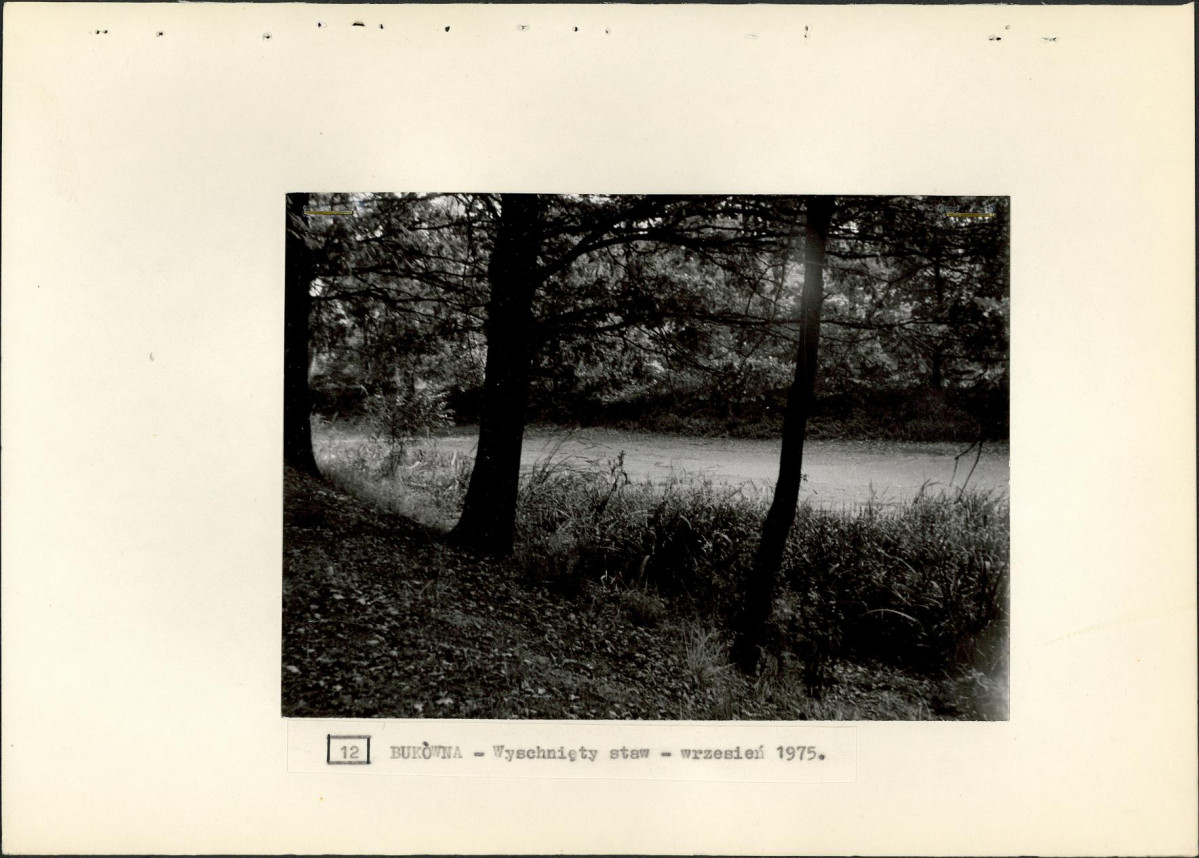 Ewidencja parkowa, skan nr 27