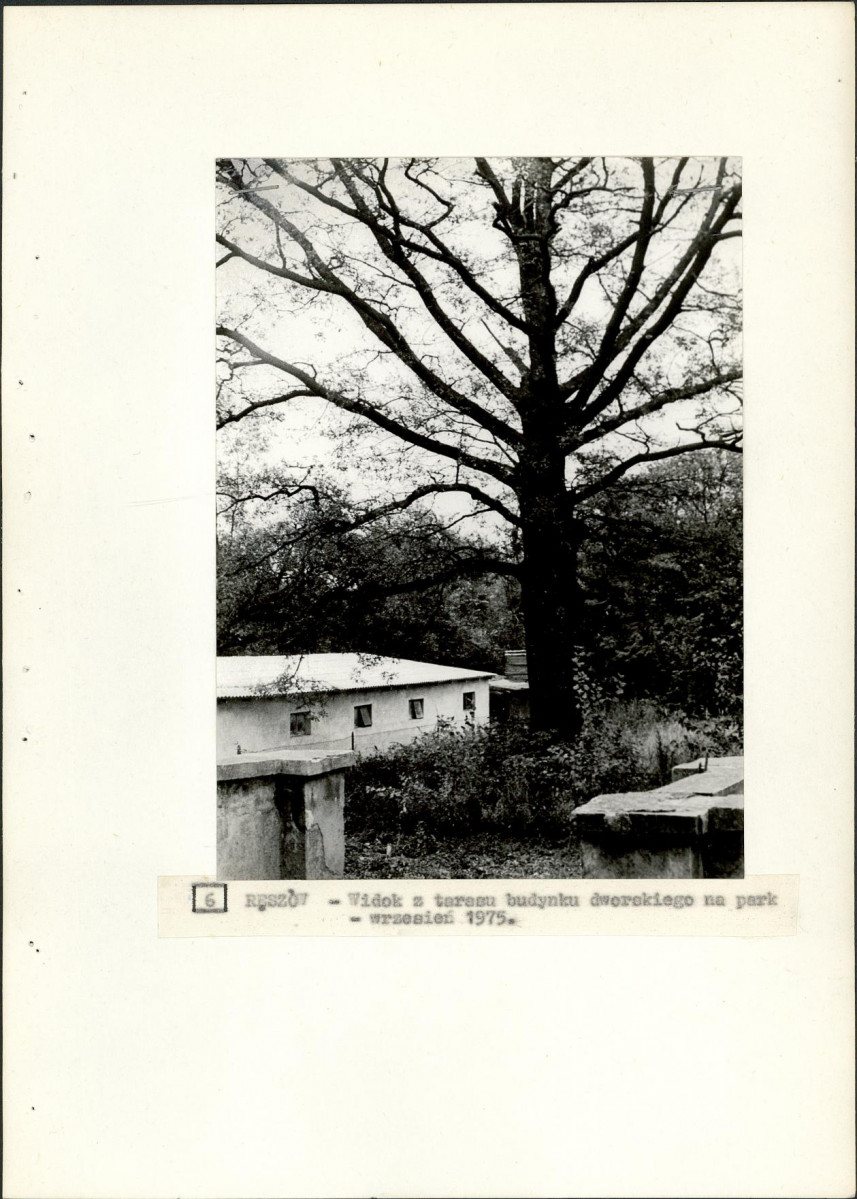 Ewidencja parkowa, skan nr 22