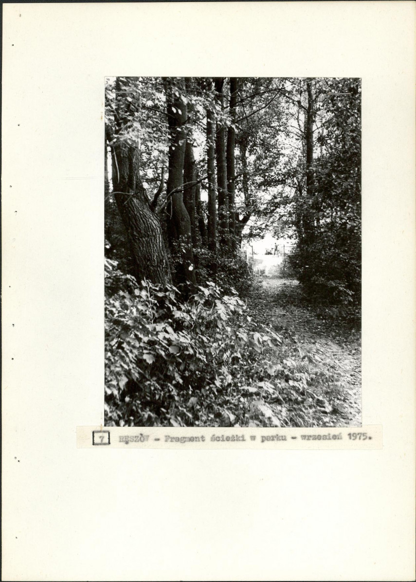 Ewidencja parkowa, skan nr 23