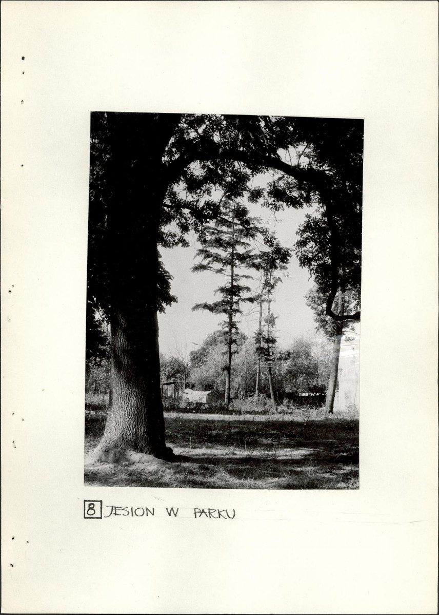 Ewidencja parkowa, skan nr 20