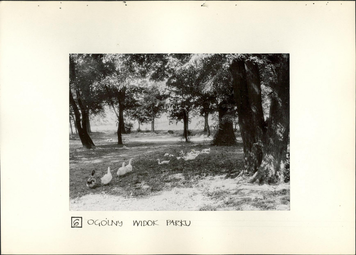 Ewidencja parkowa, skan nr 20