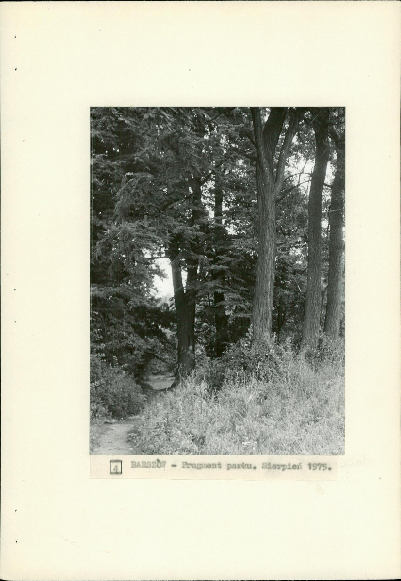 EP - Ewidencja parkowa, skan nr 22