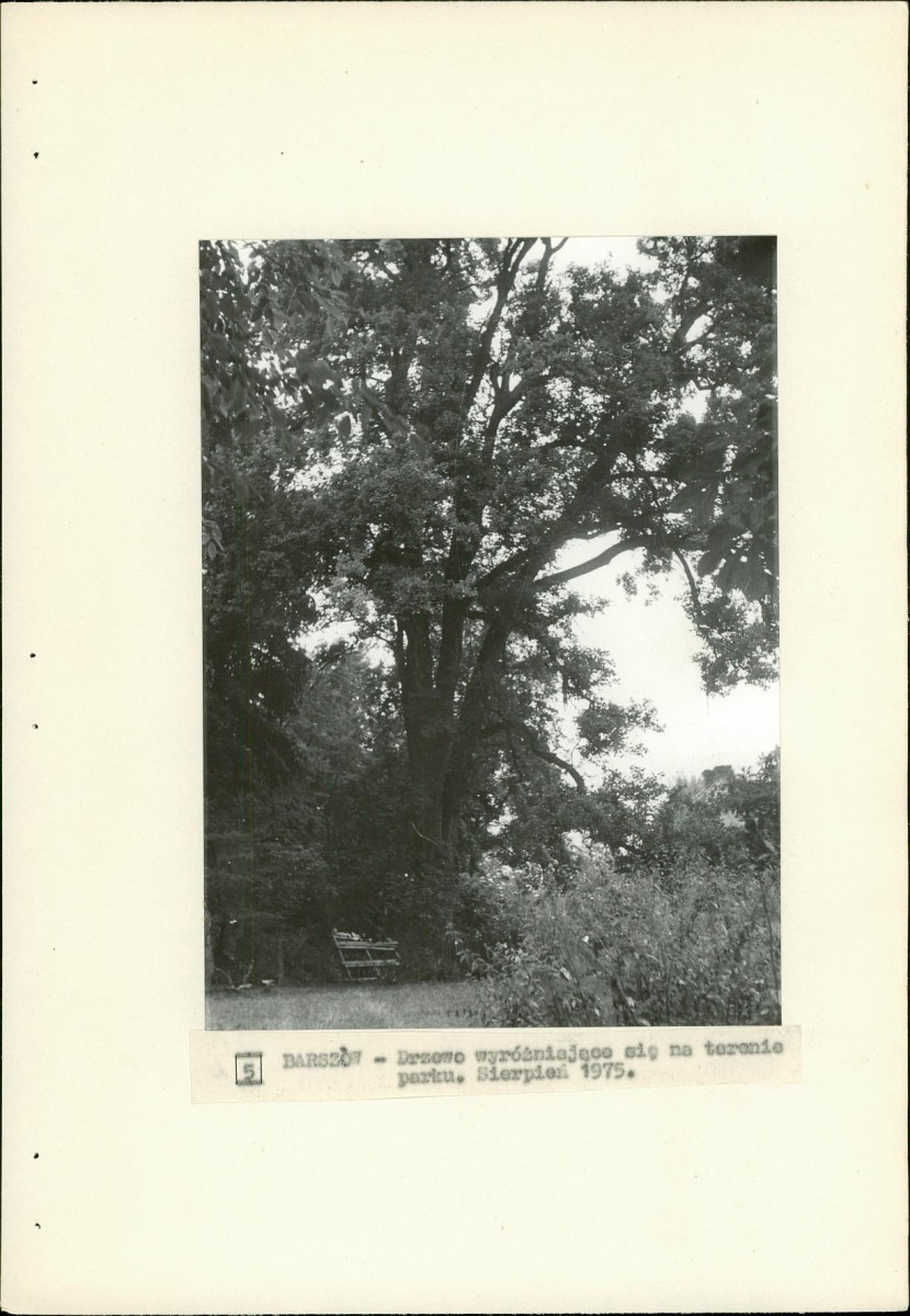 EP - Ewidencja parkowa, skan nr 23