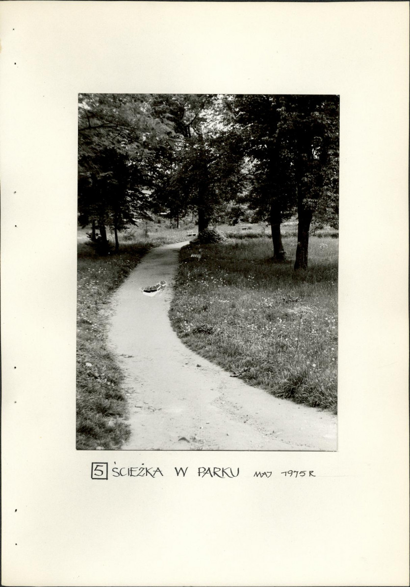 Ewidencja parkowa, skan nr 21