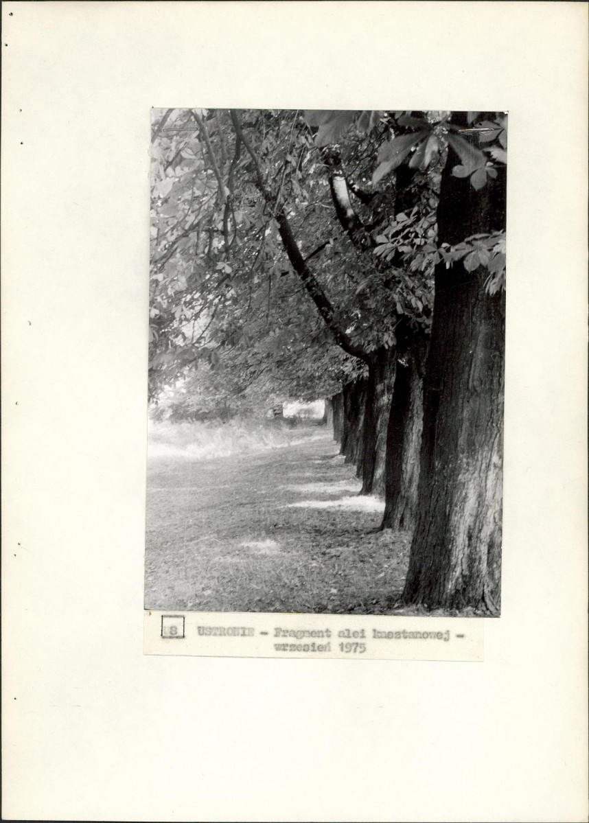 Ewidencja parkowa, skan nr 24