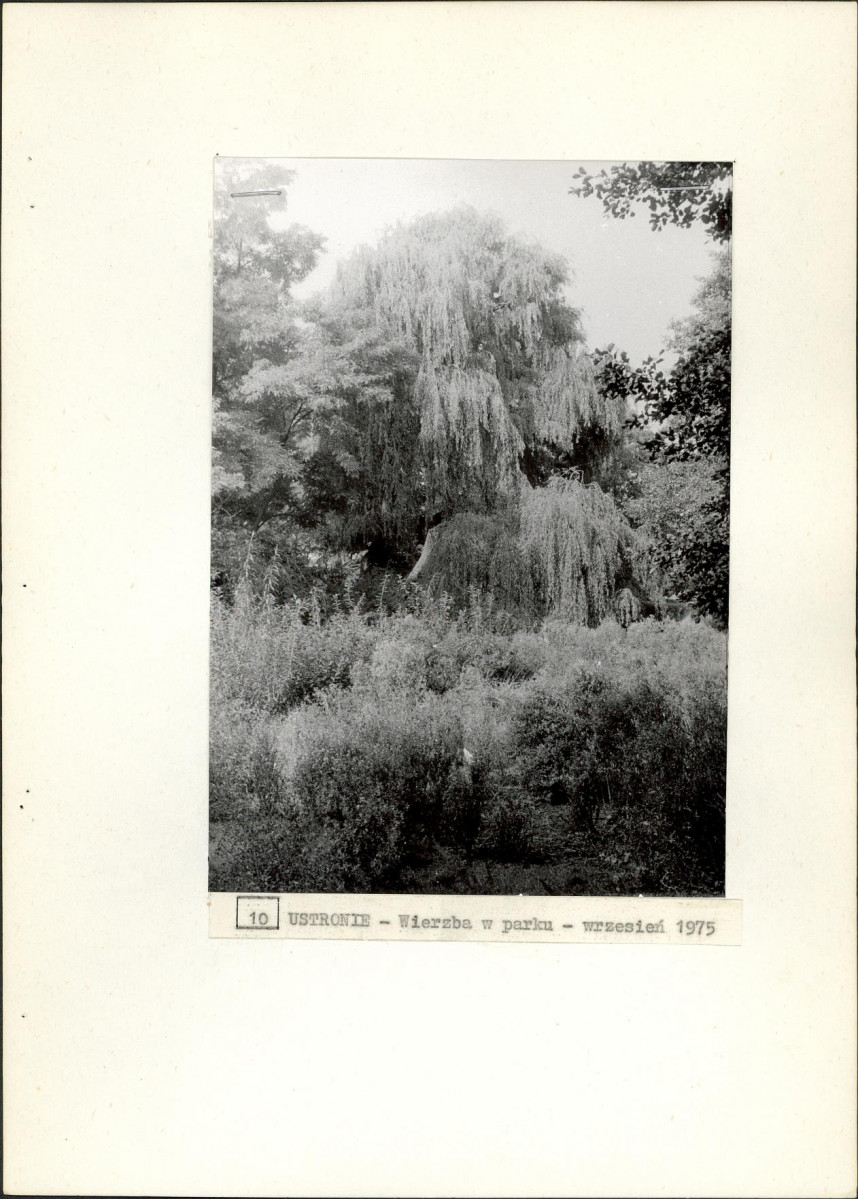 Ewidencja parkowa, skan nr 26