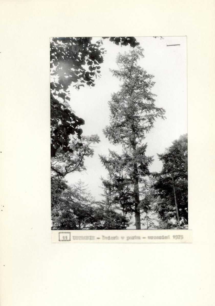 Ewidencja parkowa, skan nr 27
