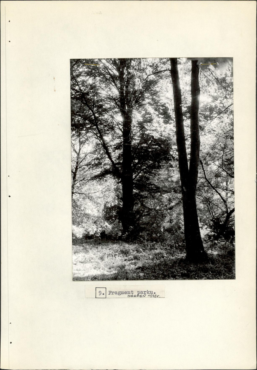 Ewidencja parkowa, skan nr 27