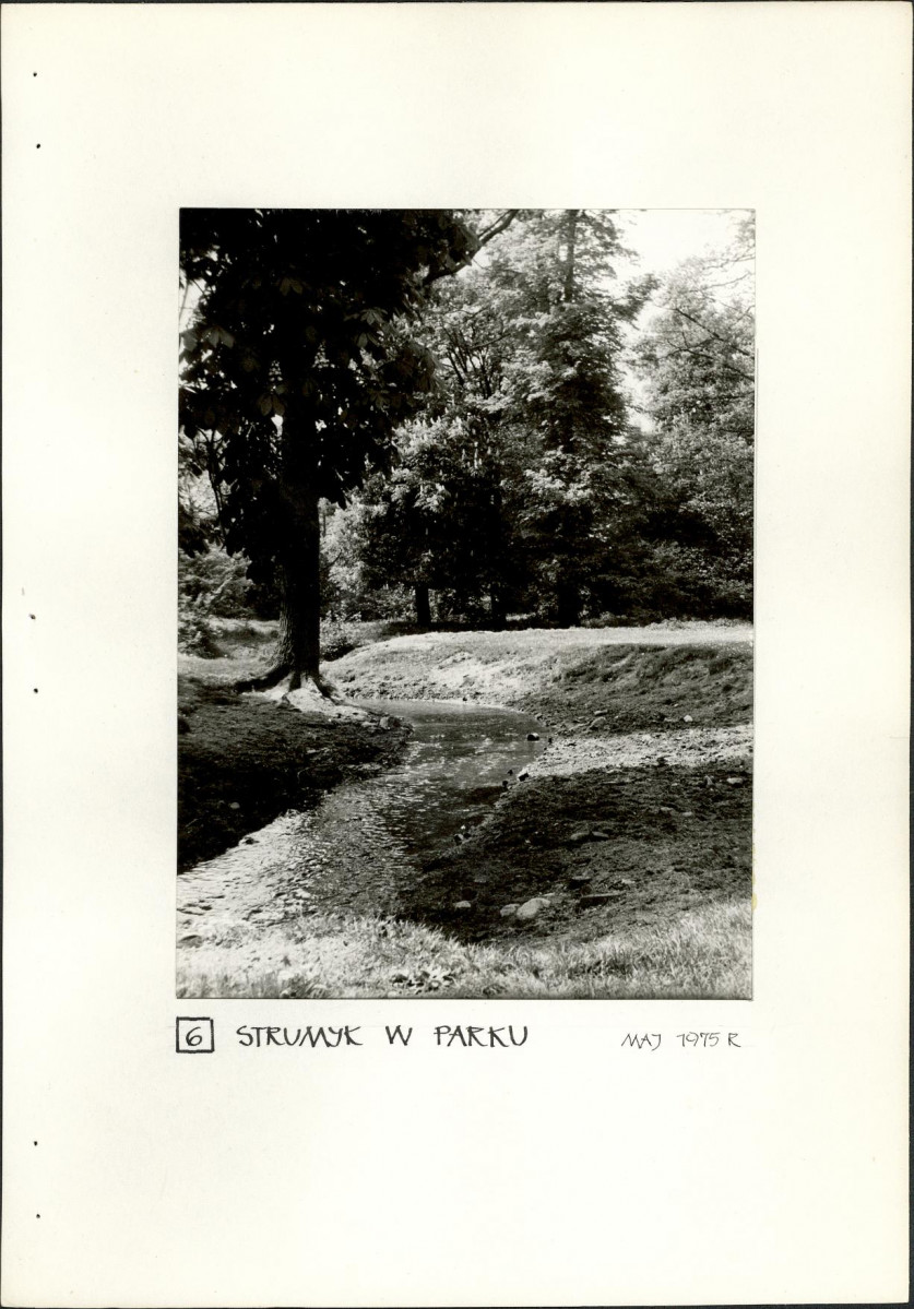 Ewidencja parkowa, skan nr 25