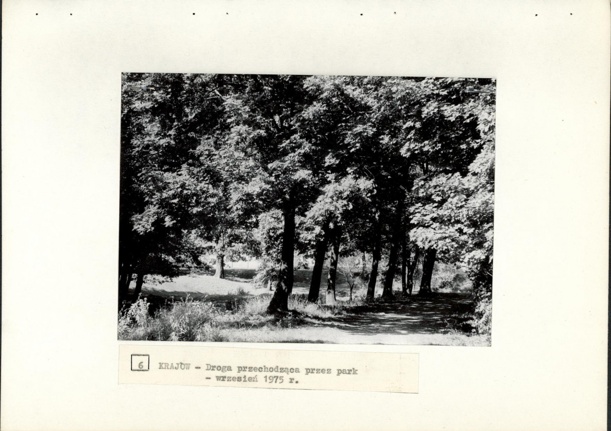 Ewidencja parkowa, skan nr 23