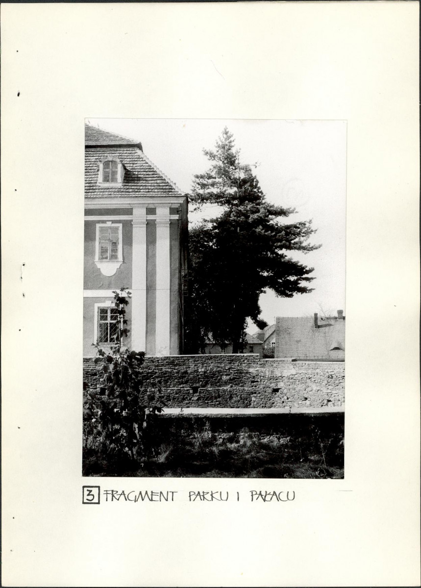 Ewidencja parkowa, skan nr 19