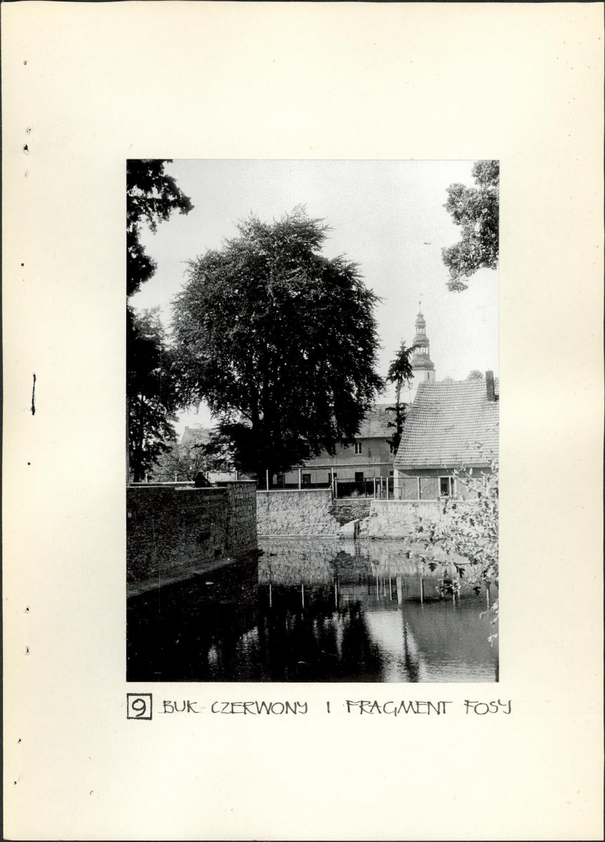 Ewidencja parkowa, skan nr 25