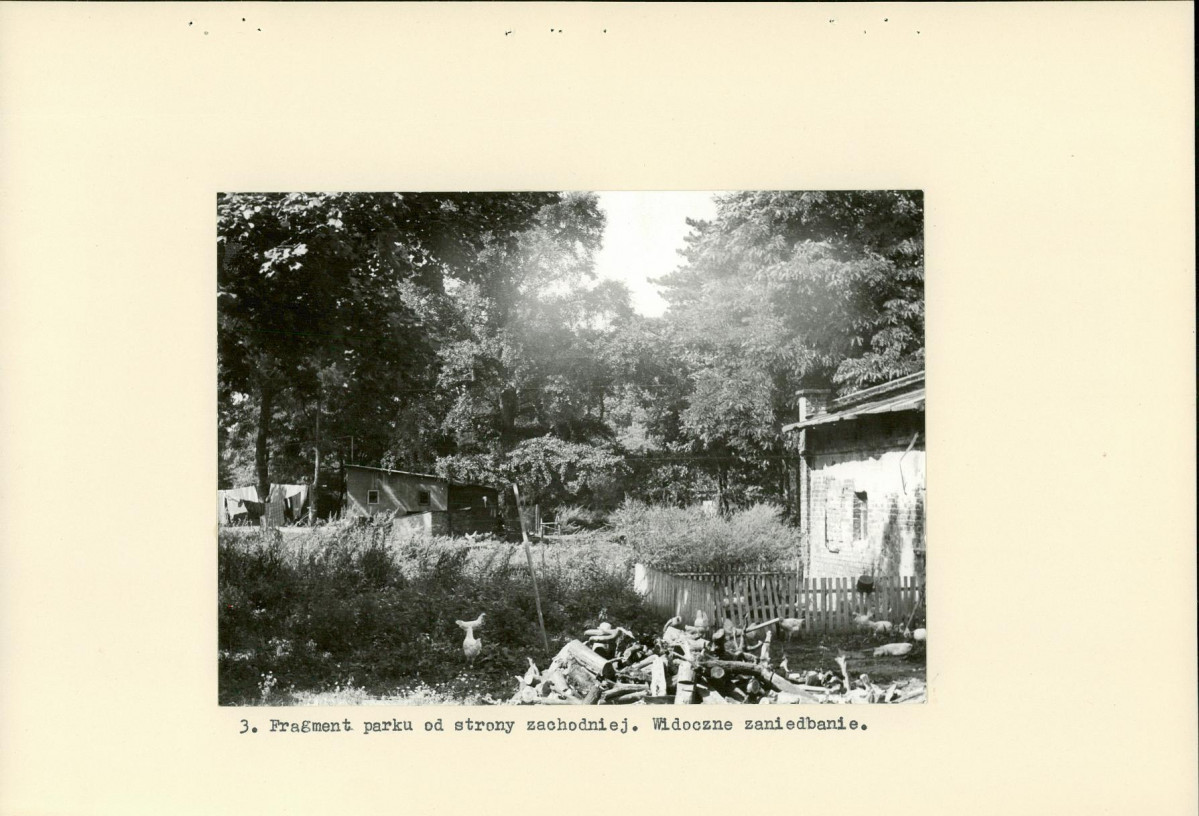 Ewidencja parkowa, skan nr 13