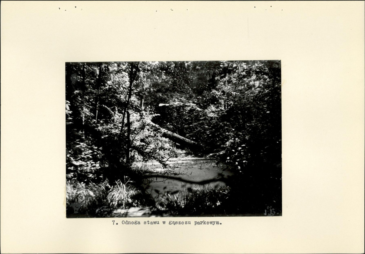 Ewidencja parkowa, skan nr 17