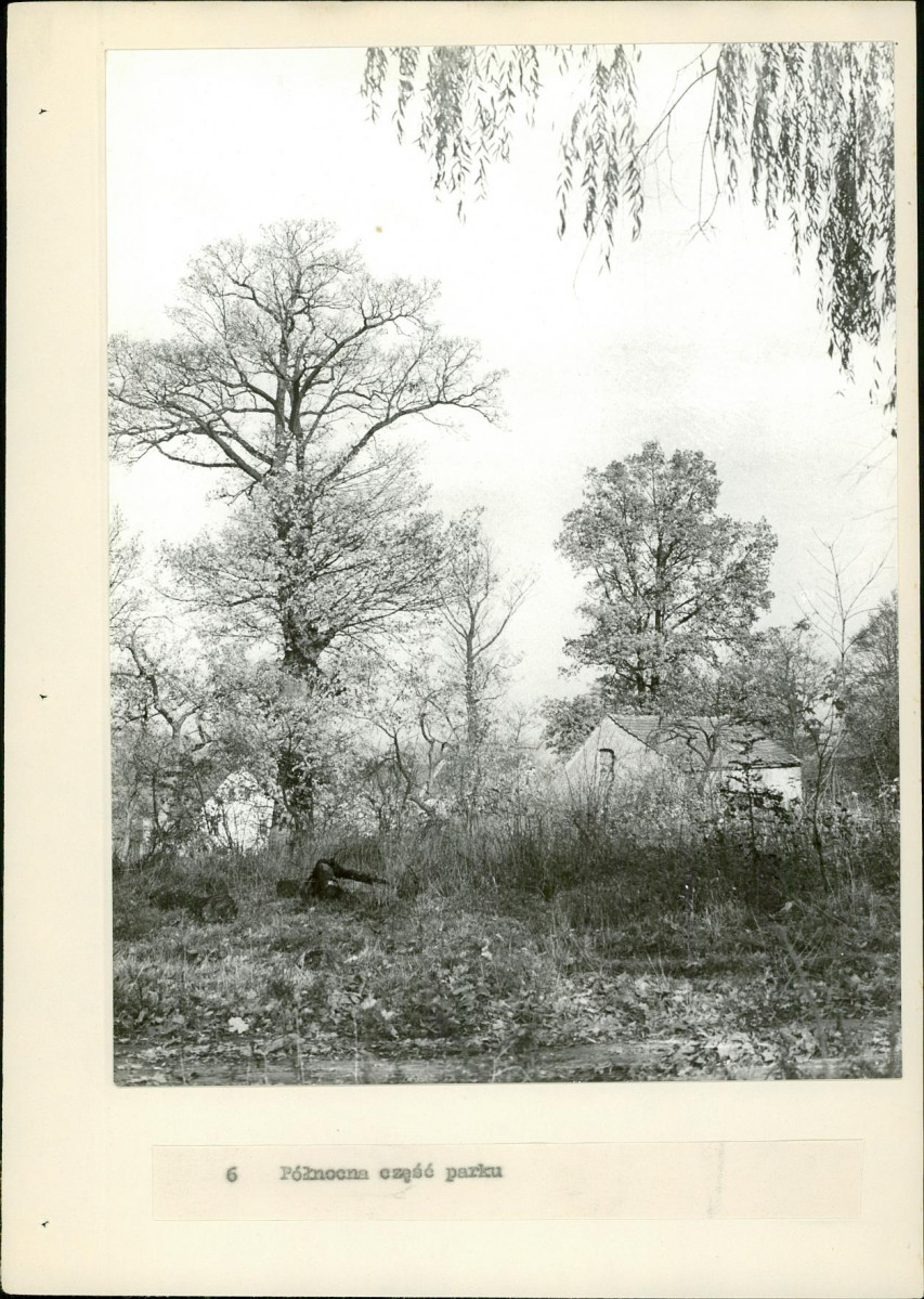 EP - Ewidencja parkowa, skan nr 20