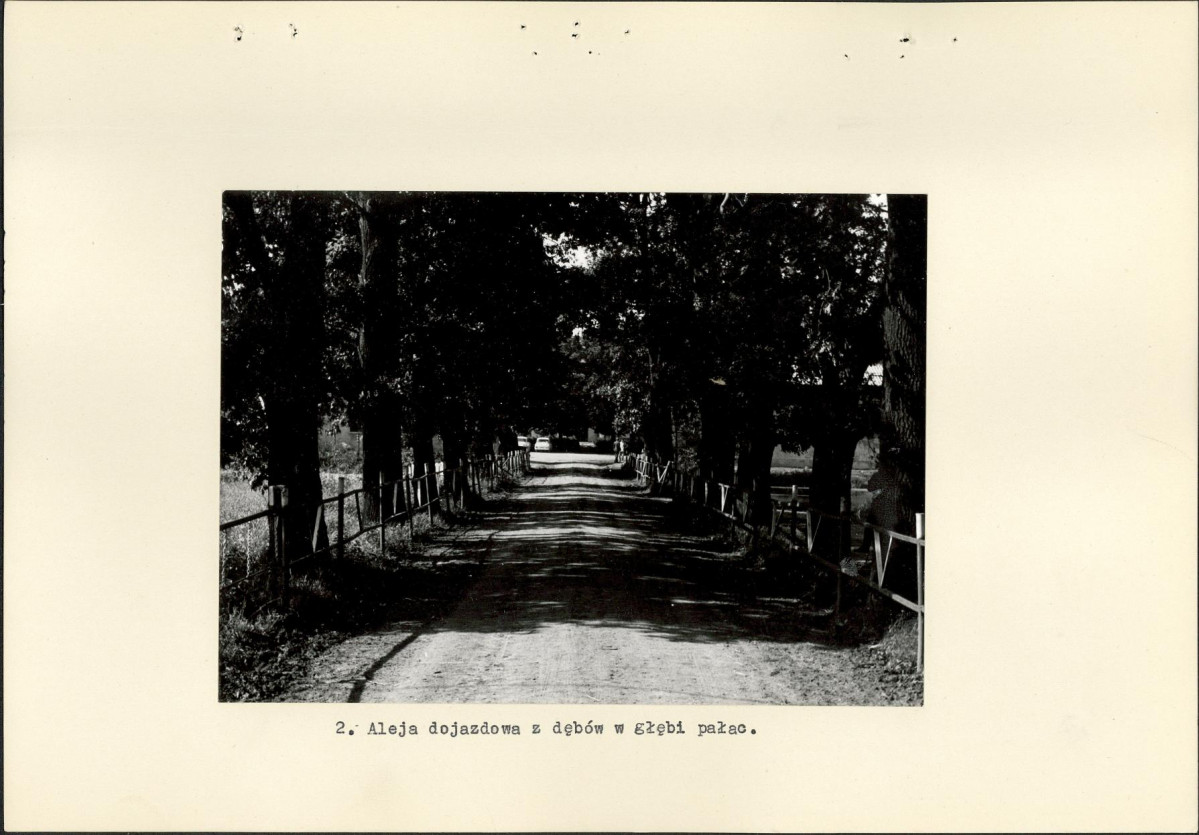 Ewidencja parkowa, skan nr 12
