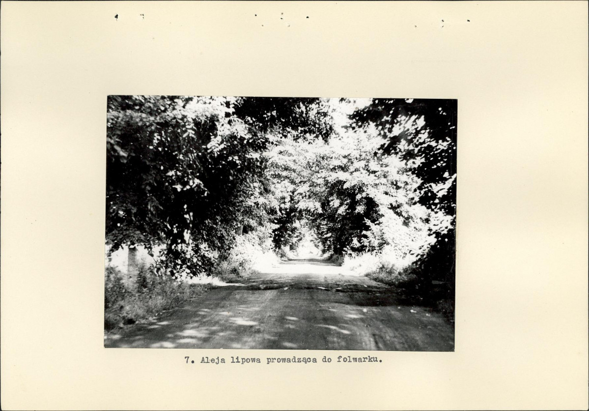 Ewidencja parkowa, skan nr 17