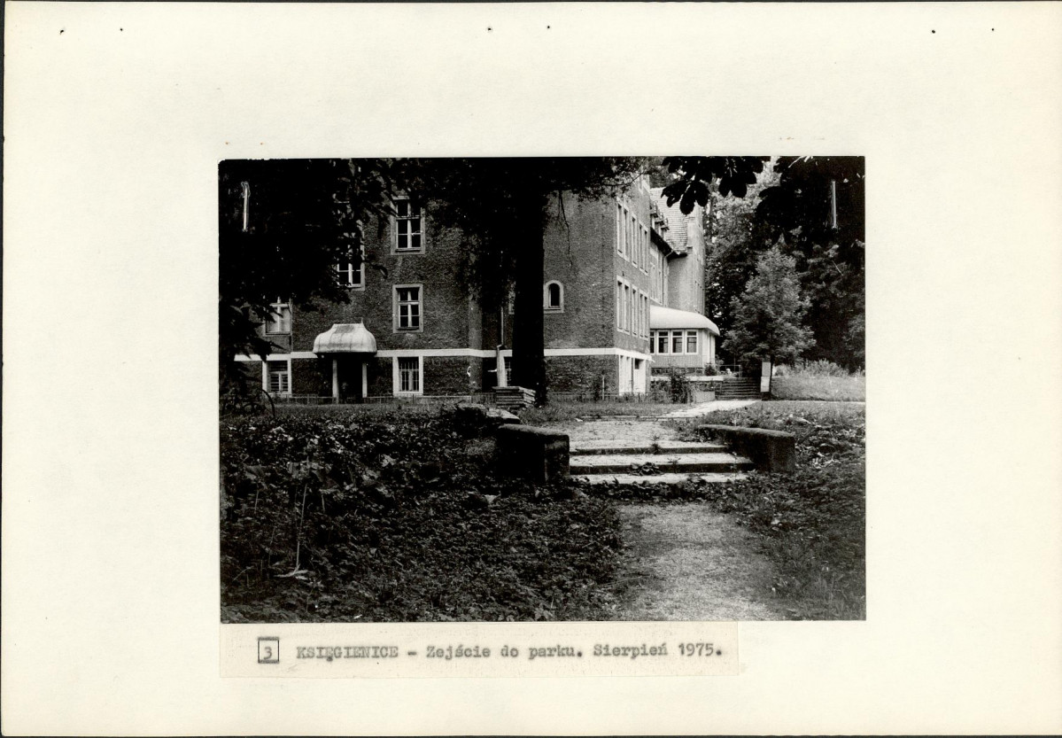 Ewidencja parkowa, skan nr 19