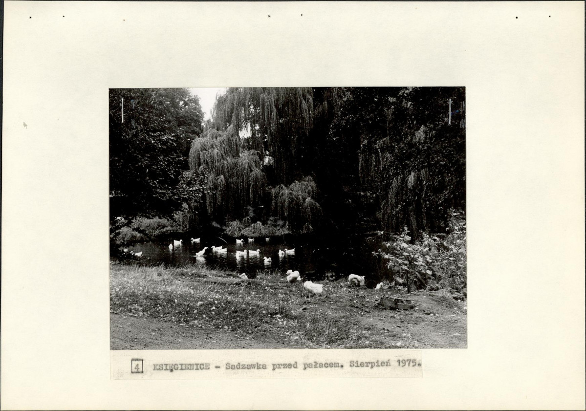 Ewidencja parkowa, skan nr 20