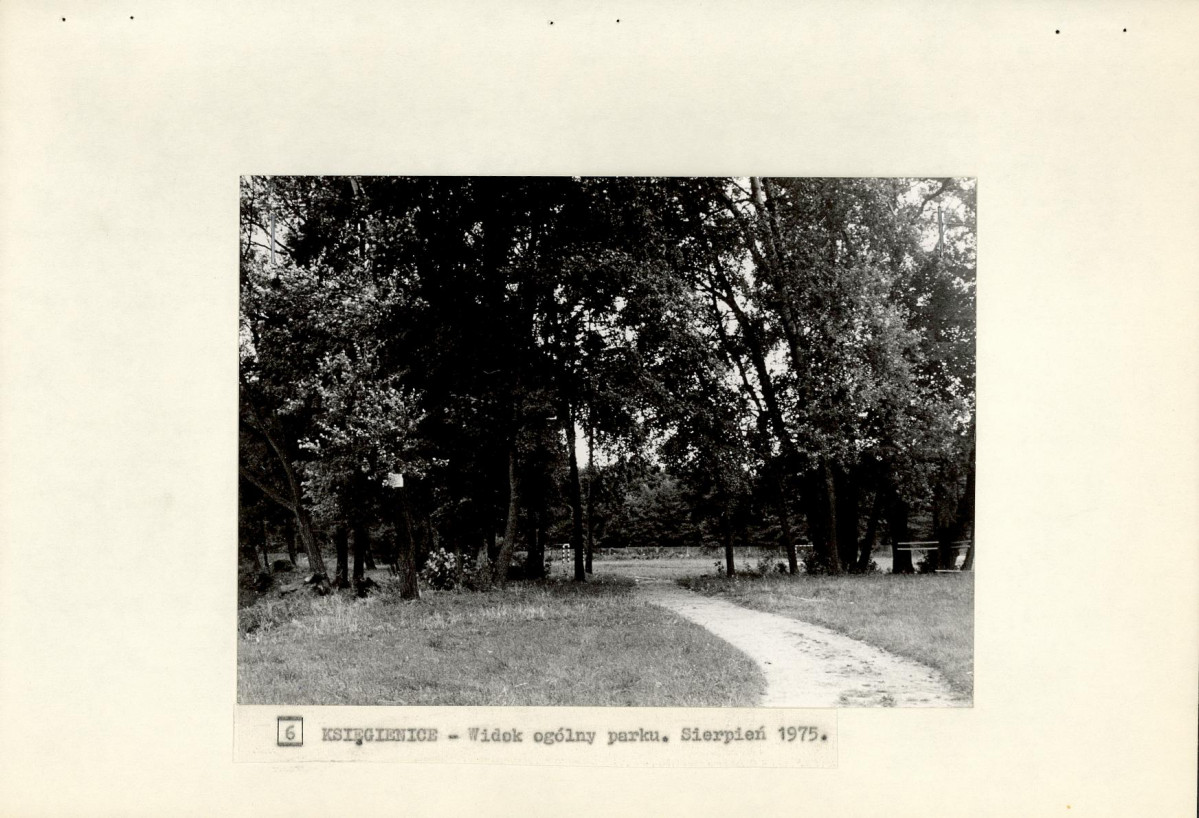 Ewidencja parkowa, skan nr 22