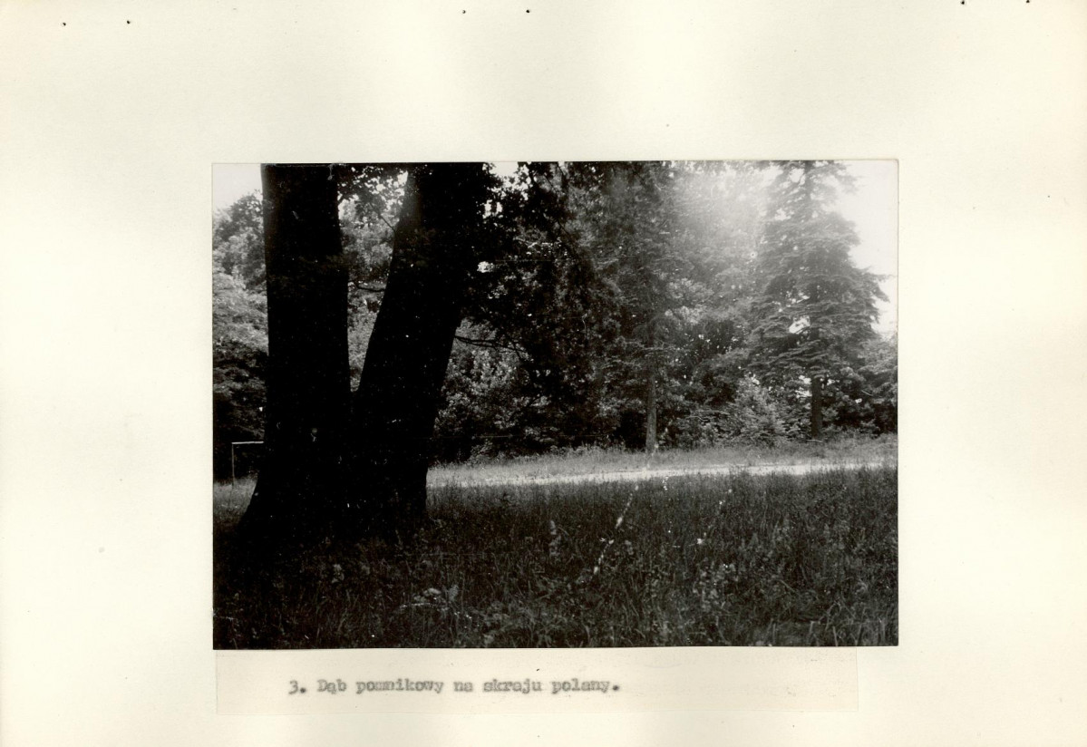 Ewidencja parkowa, skan nr 18