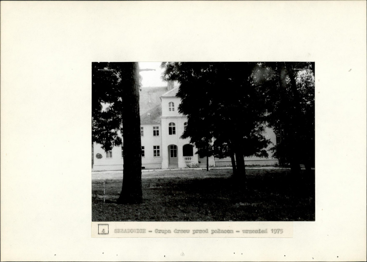 Ewidencja parkowa, skan nr 23