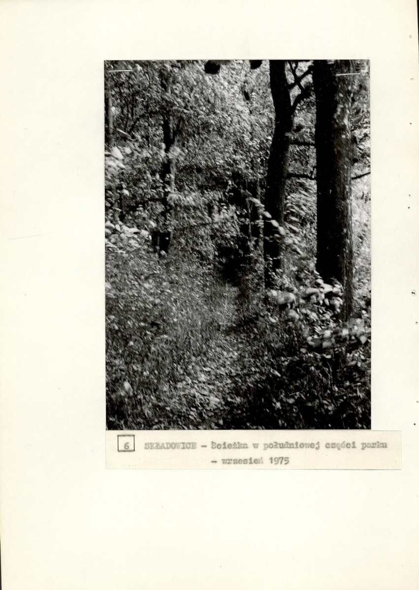 Ewidencja parkowa, skan nr 25