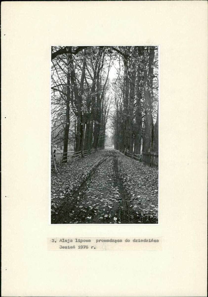 EP - Ewidencja parkowa, skan nr 20
