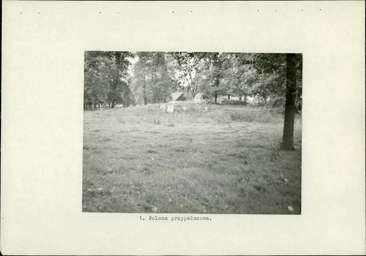 Ewidencja parkowa, skan nr 15