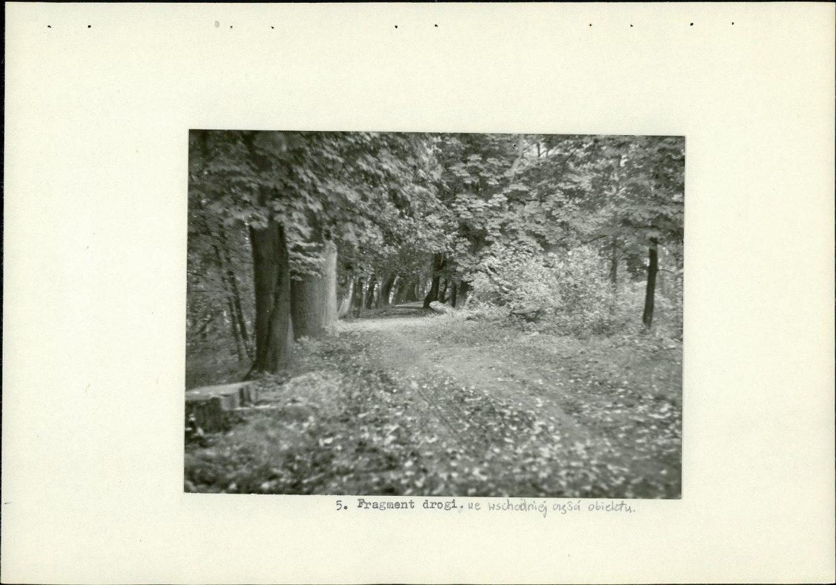 Ewidencja parkowa, skan nr 19