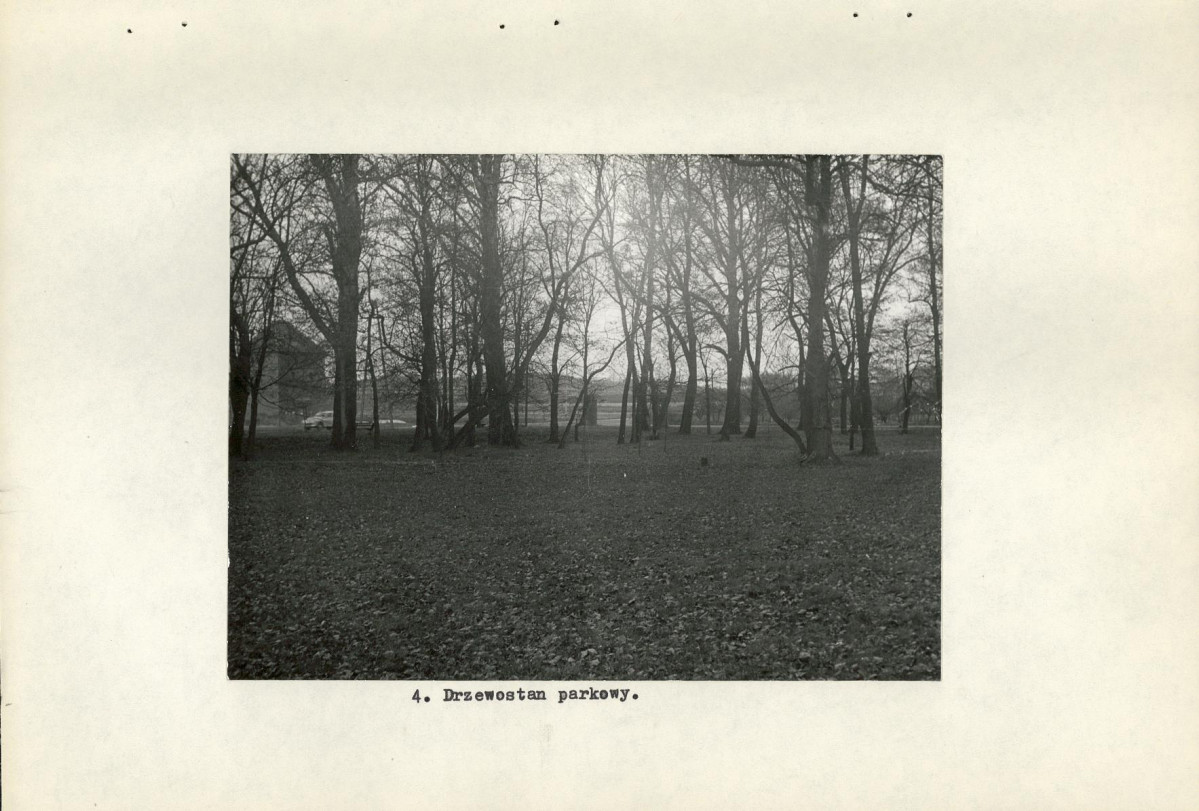 Ewidencja parkowa, skan nr 19