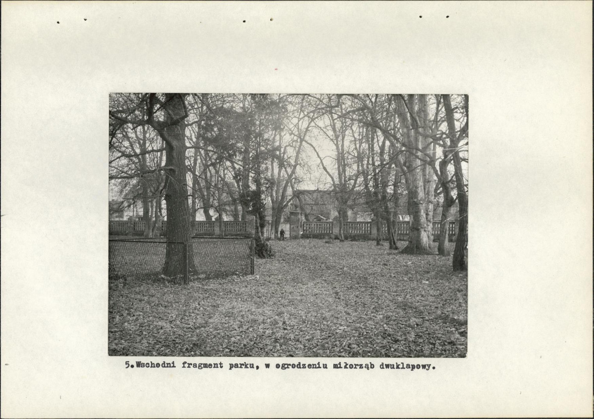 Ewidencja parkowa, skan nr 20