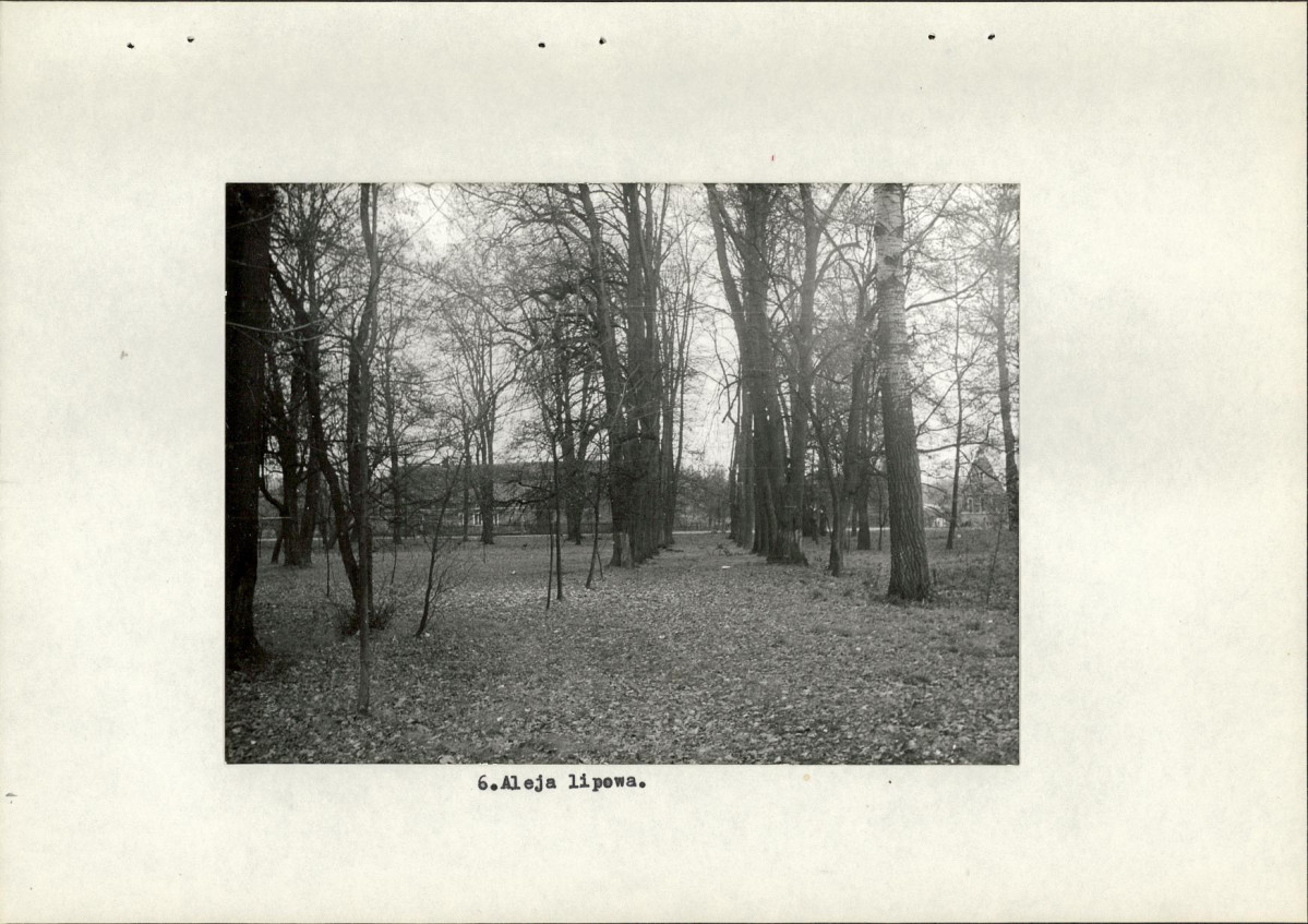 Ewidencja parkowa, skan nr 21