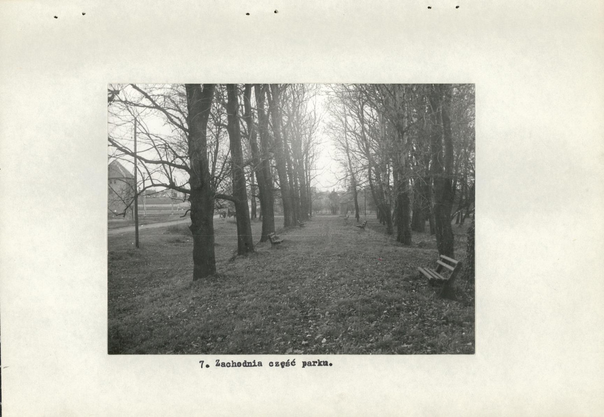 Ewidencja parkowa, skan nr 22