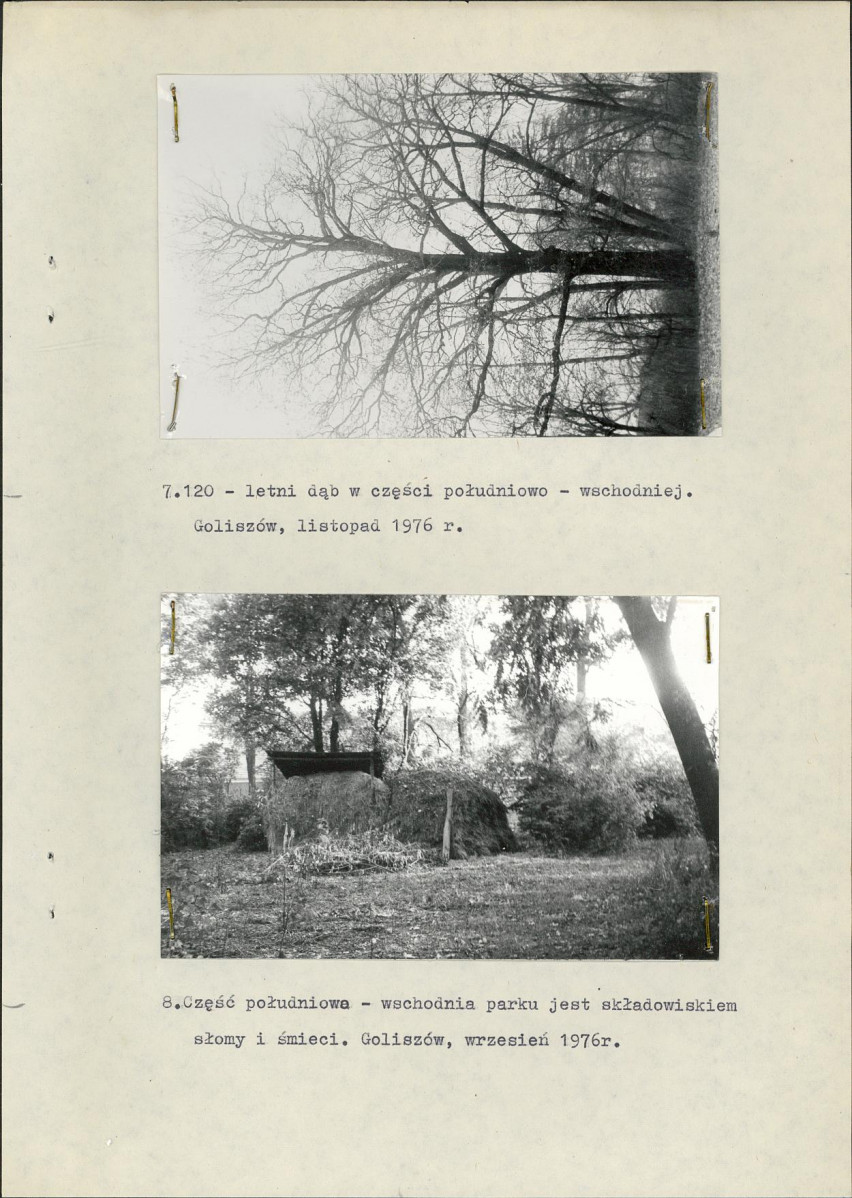 Ewidencja parkowa, skan nr 17