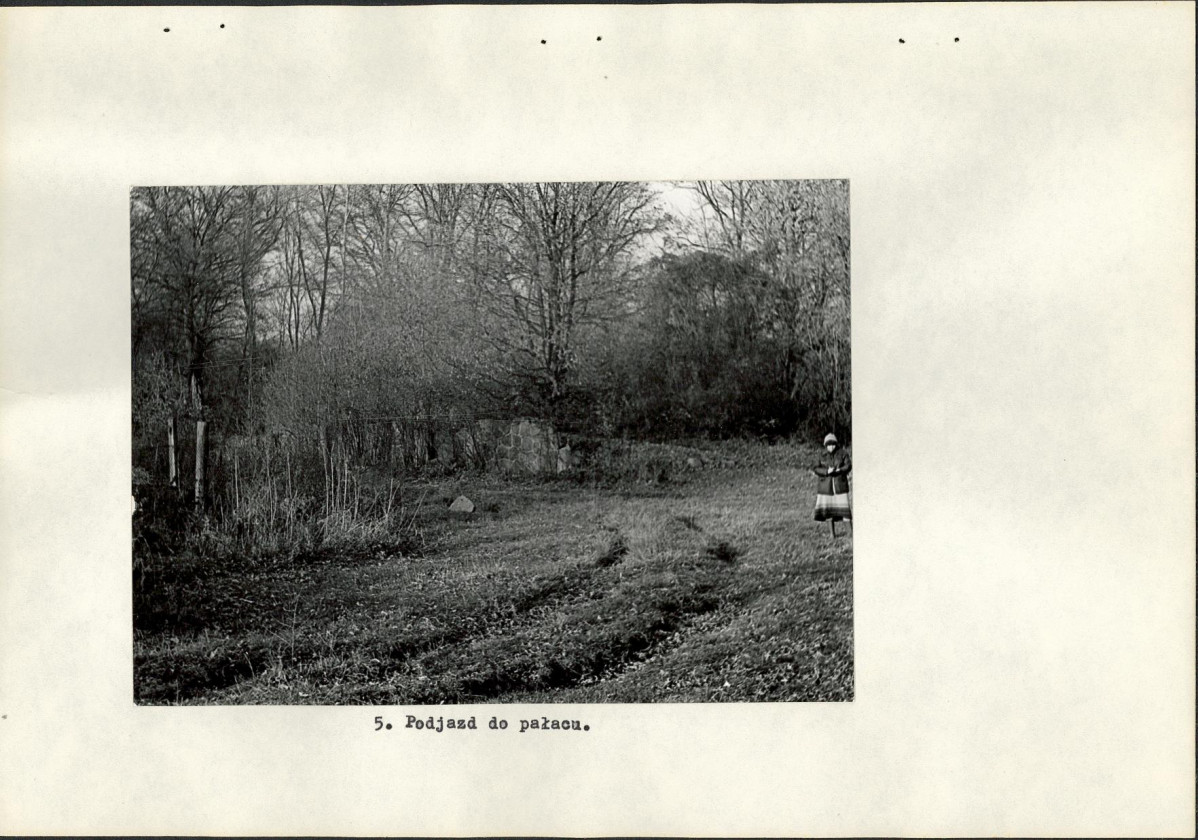 Ewidencja parkowa, skan nr 17
