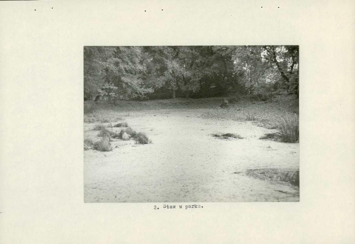 Ewidencja parkowa, skan nr 14