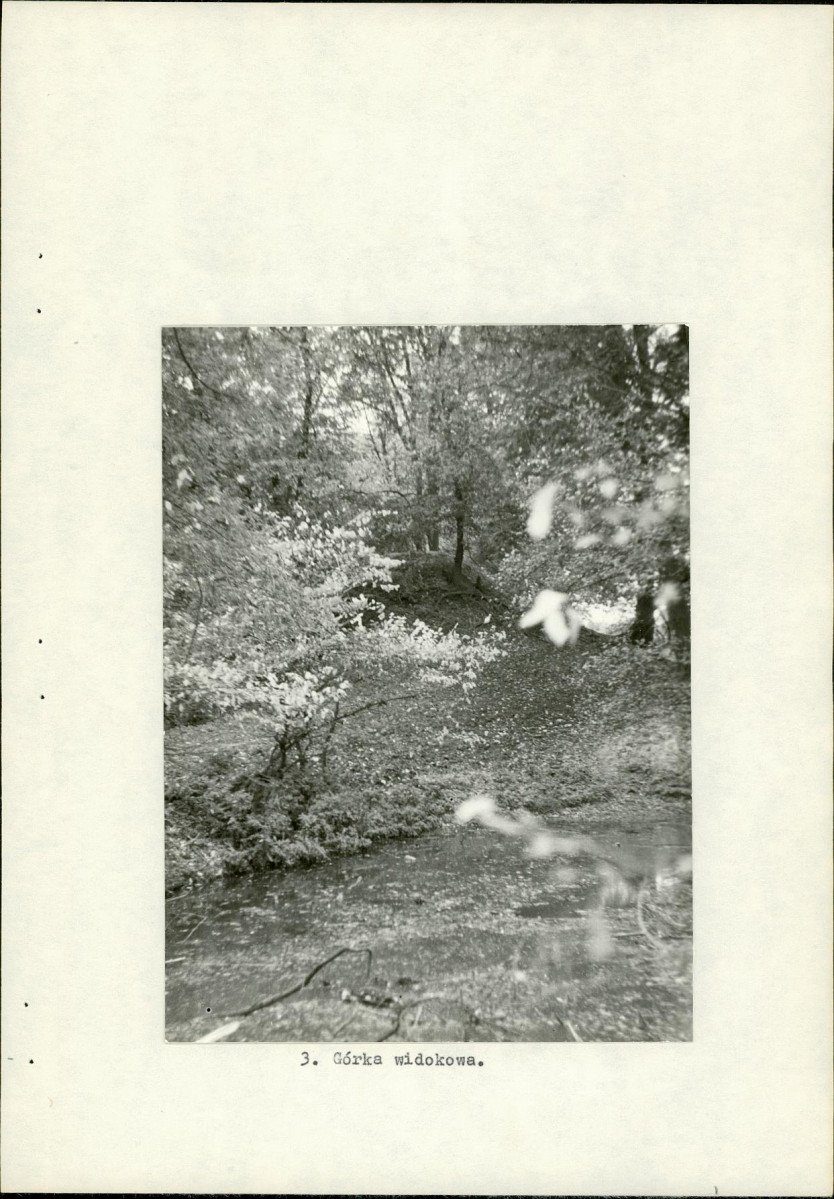 Ewidencja parkowa, skan nr 15