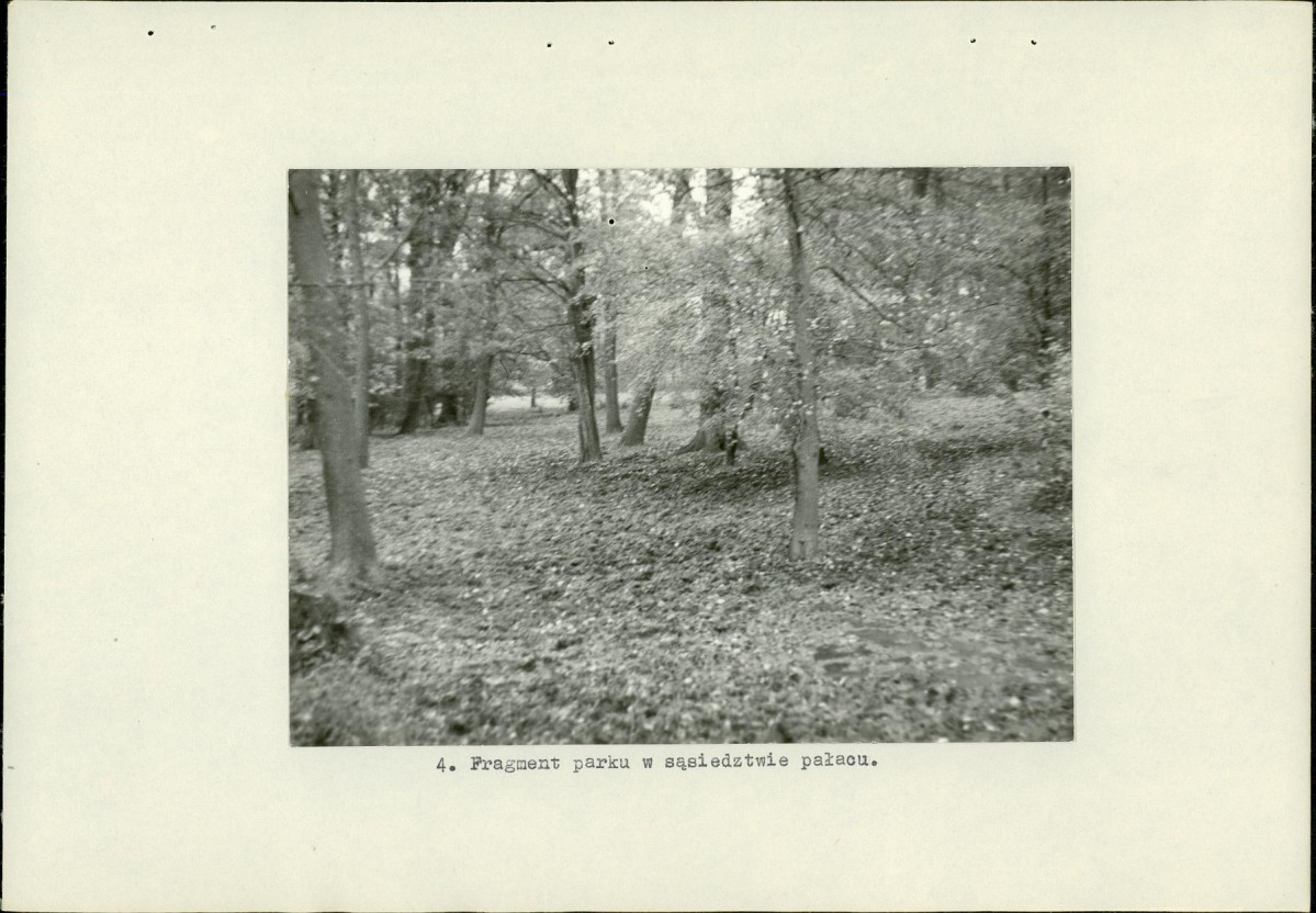 Ewidencja parkowa, skan nr 16