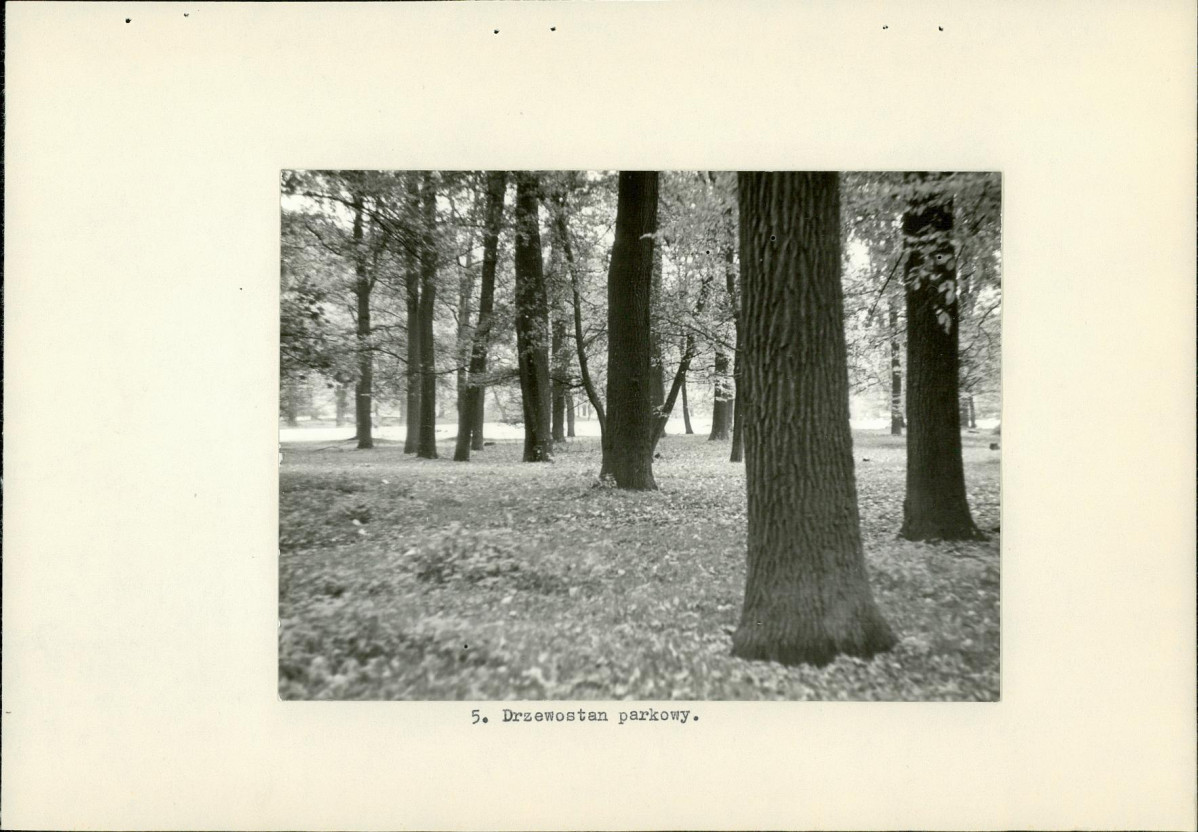 Ewidencja parkowa, skan nr 17