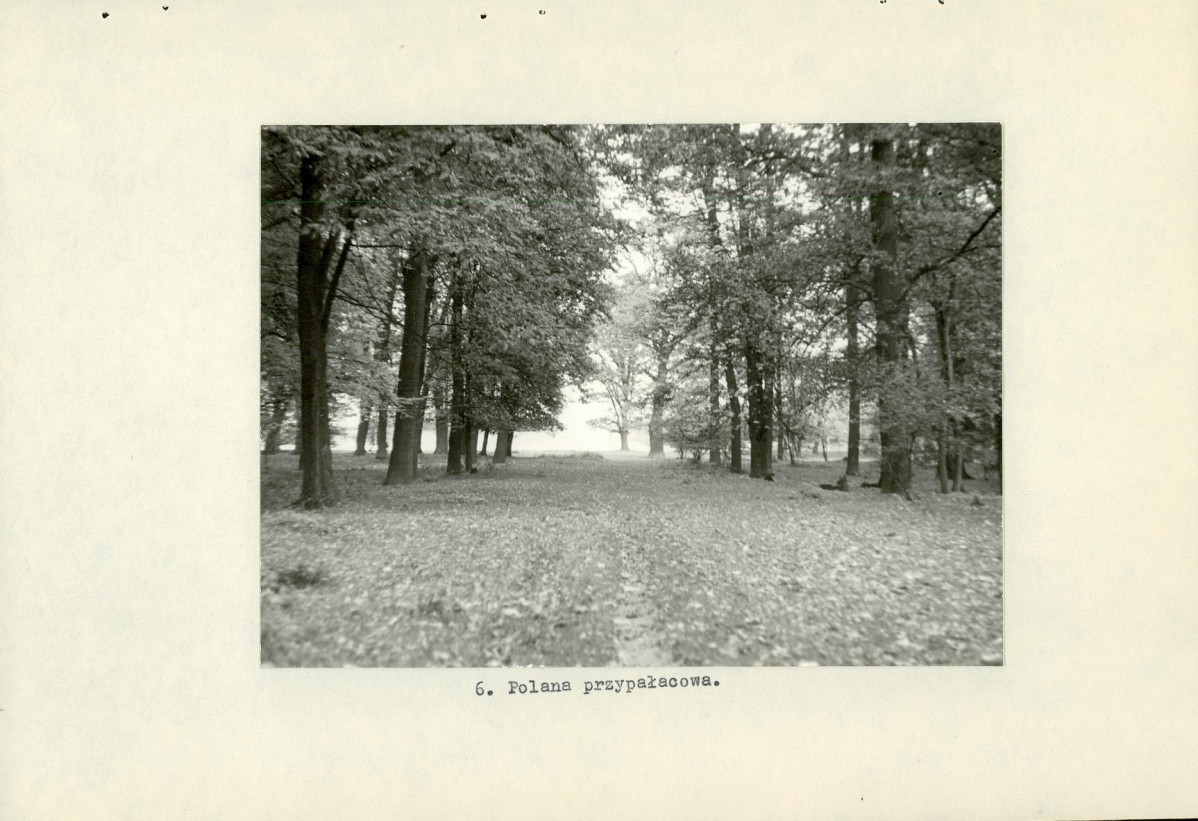 Ewidencja parkowa, skan nr 18