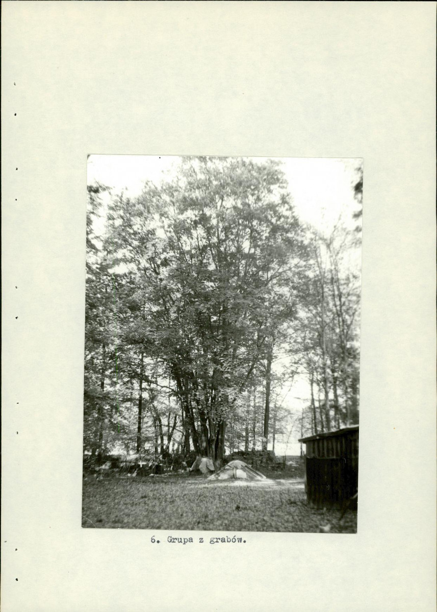 Ewidencja parkowa, skan nr 20