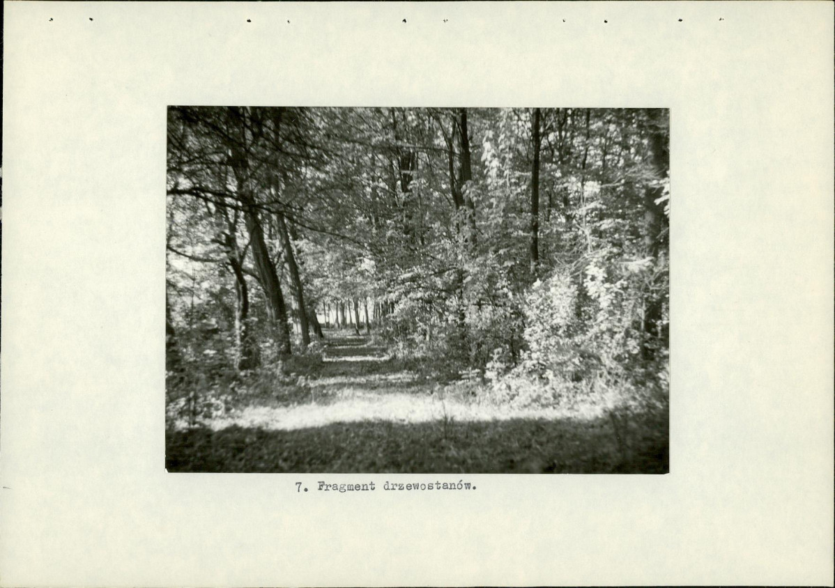 Ewidencja parkowa, skan nr 21