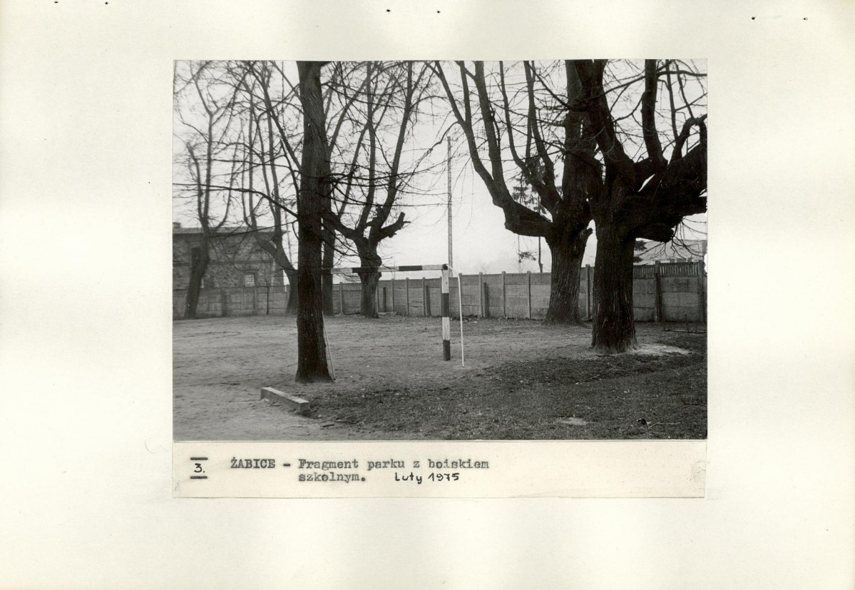 Ewidencja parkowa, skan nr 17