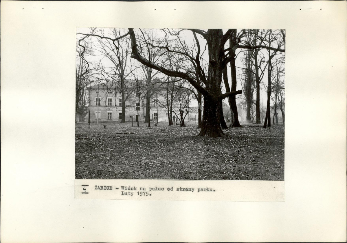 Ewidencja parkowa, skan nr 18