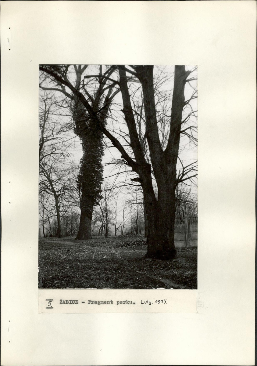 Ewidencja parkowa, skan nr 19