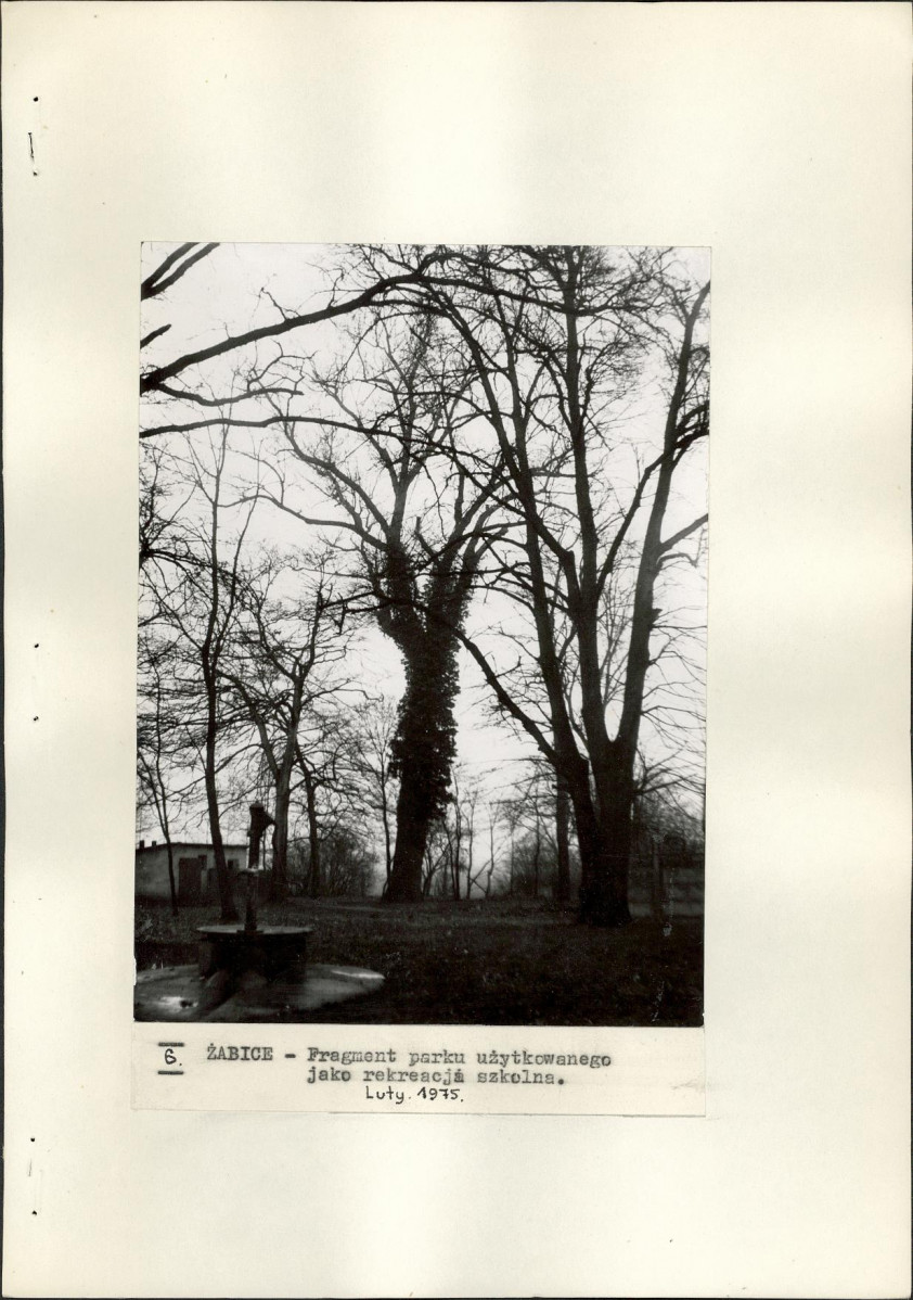 Ewidencja parkowa, skan nr 20