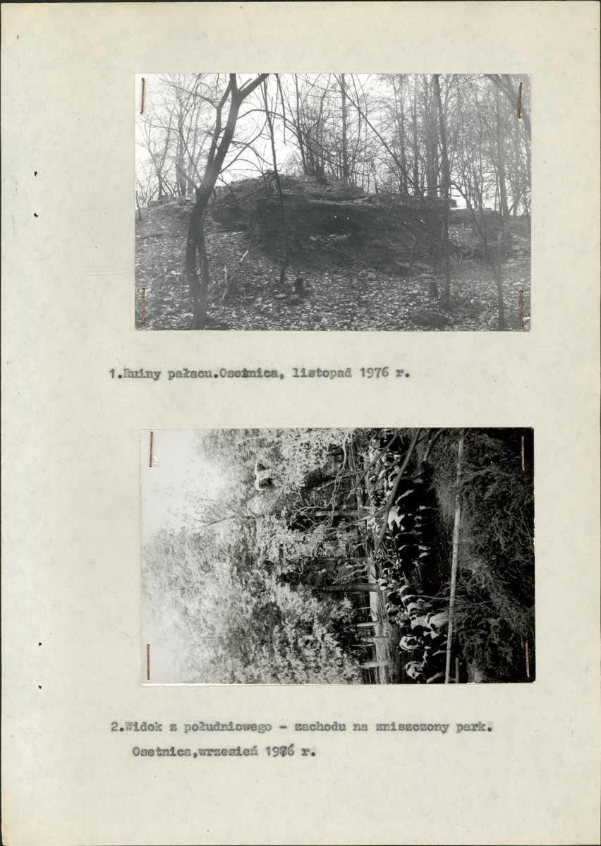 Ewidencja parkowa, skan nr 15