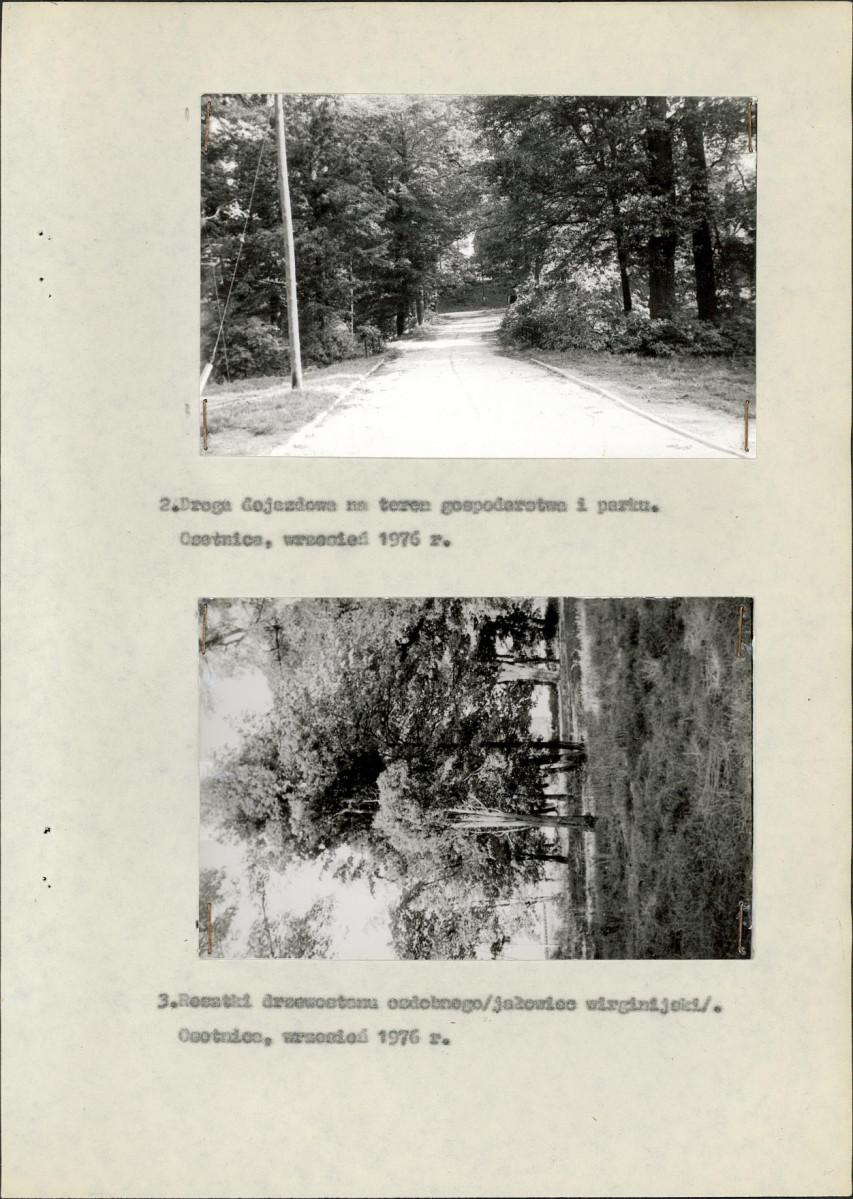 Ewidencja parkowa, skan nr 15