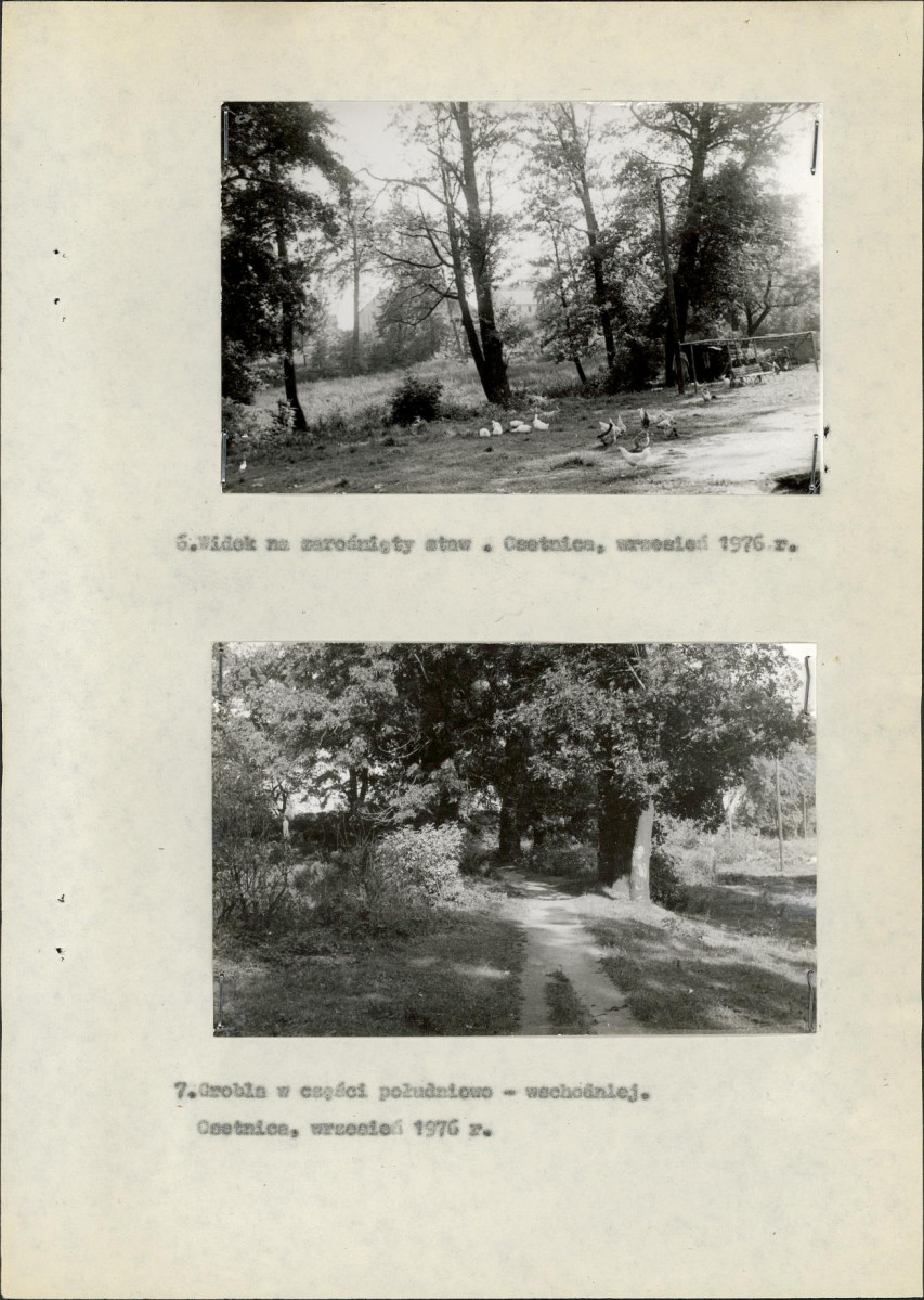 Ewidencja parkowa, skan nr 17